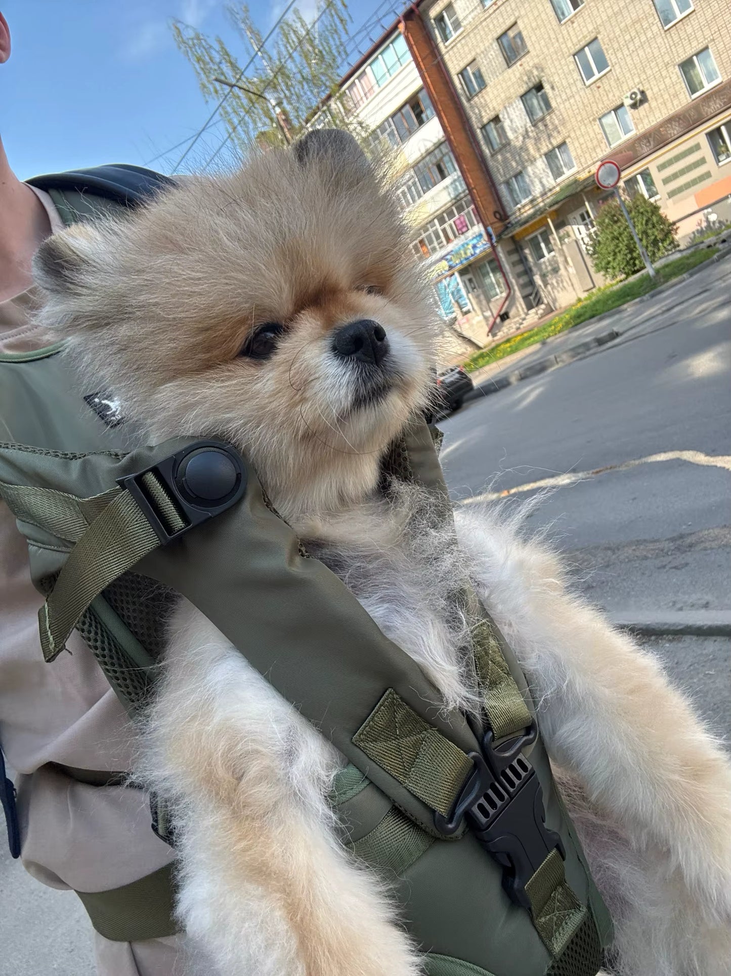 Front Dog Carrier Backpacks