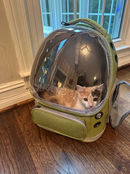 Portable Universal Pet Cat & Dog Bag carrier