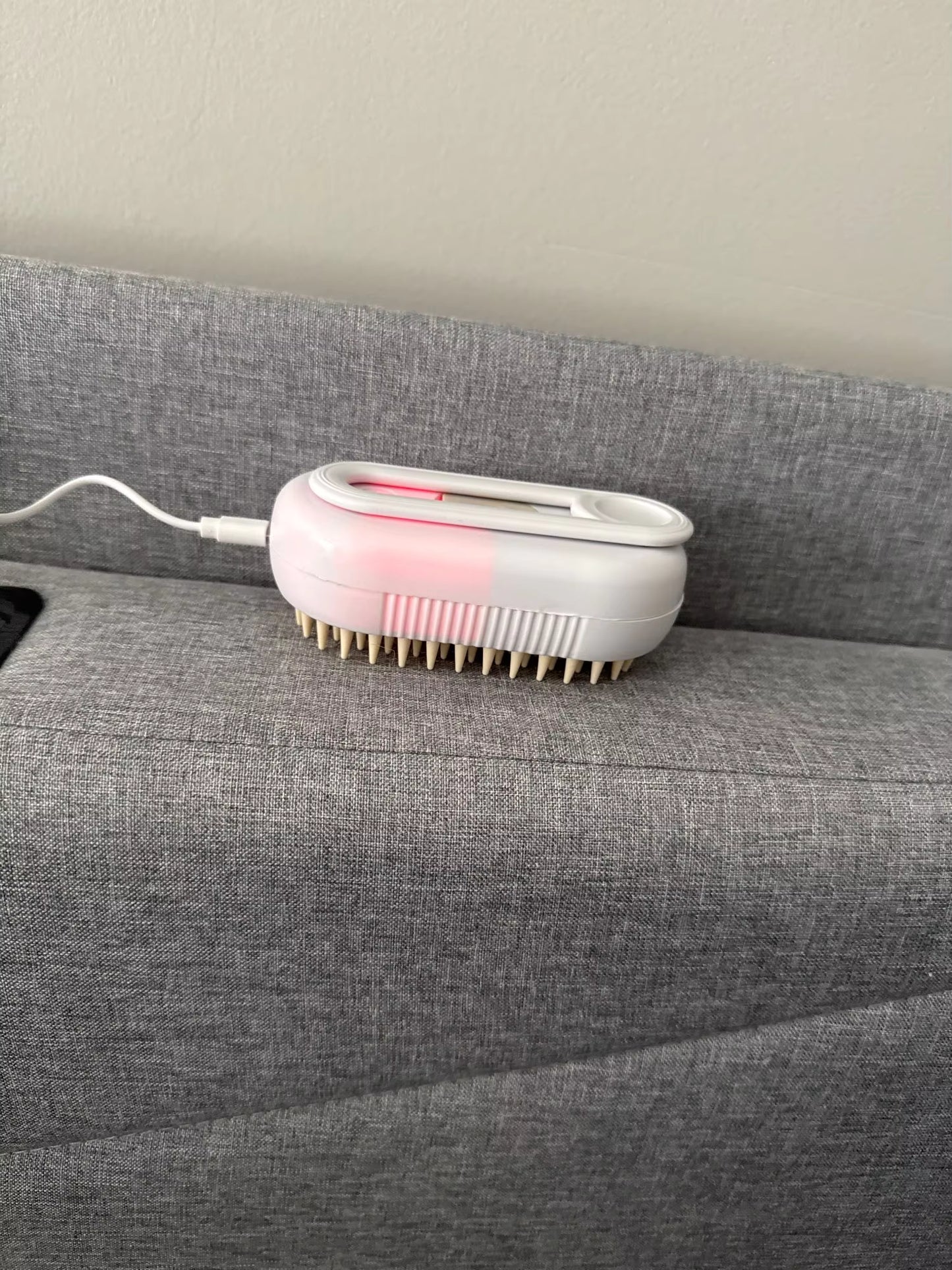 3-In-1 Dog & cat Hair Brush with steam & massage