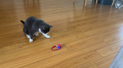 Cat Interactive Ball Toy Automatic Rolling Ball